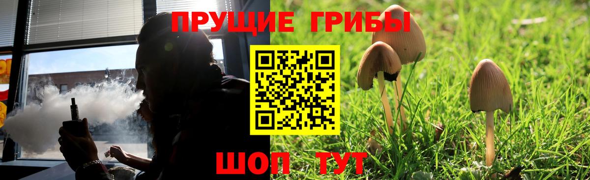 Галлюциногенные грибы мицелий Кашира